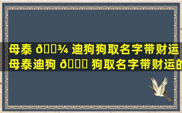 母泰 🌾 迪狗狗取名字带财运（母泰迪狗 🐋 狗取名字带财运的好吗）